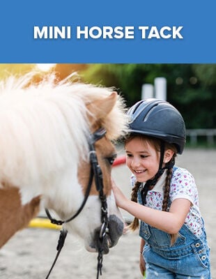 Mini Horse Tack